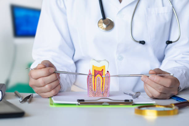 Best Emergency Root Canal Treatment in Troy, IL